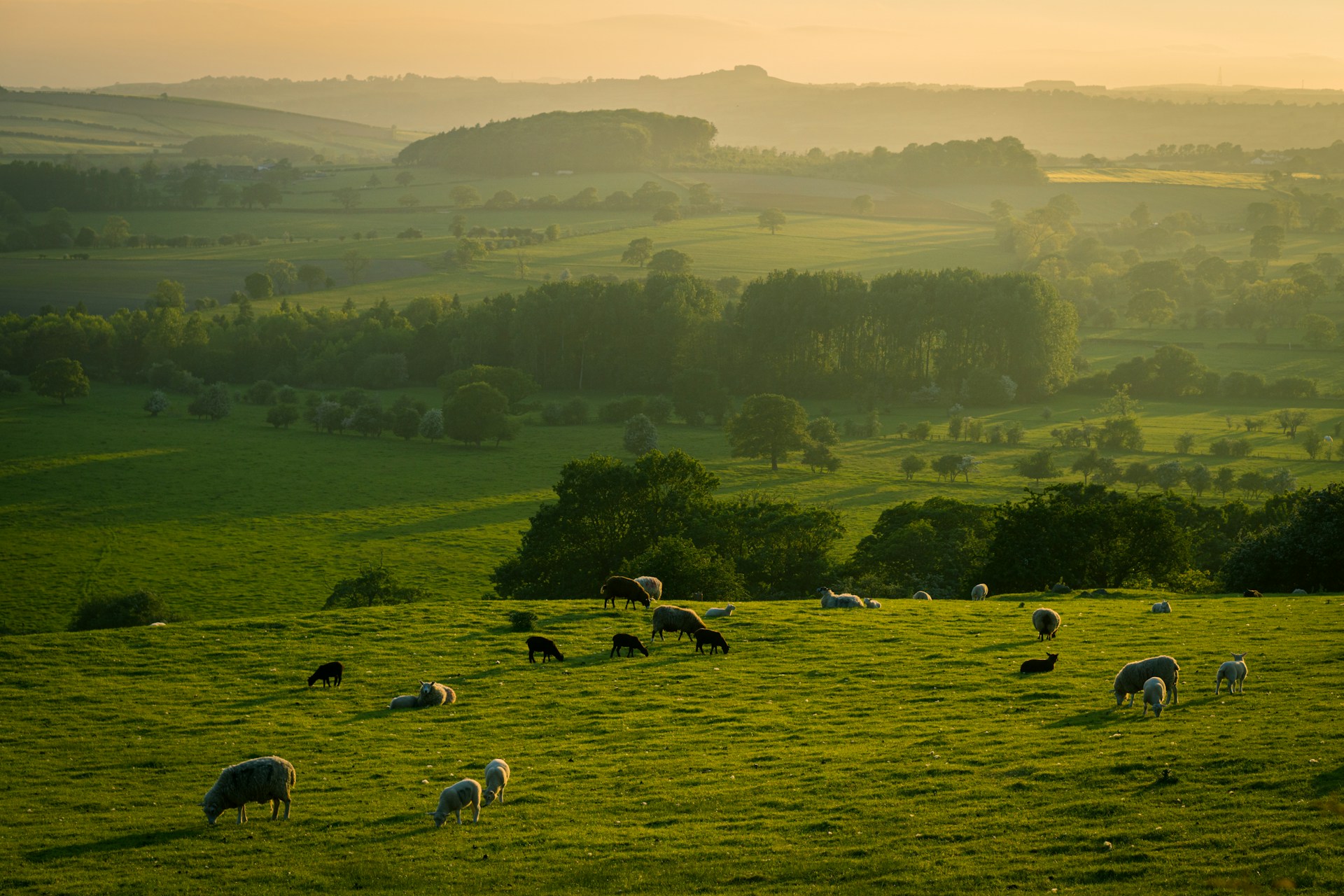 The field conditions Luniby Farm is designed for — capture that is fast, forgiving and offline-tolerant.